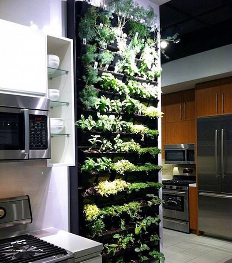 طرح من خانه تو